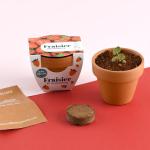 Radis et Capucine - Mini kit Fraisier - Pot Terre Cuite - 6 cm - MEDIA_EN_SITUATION_1